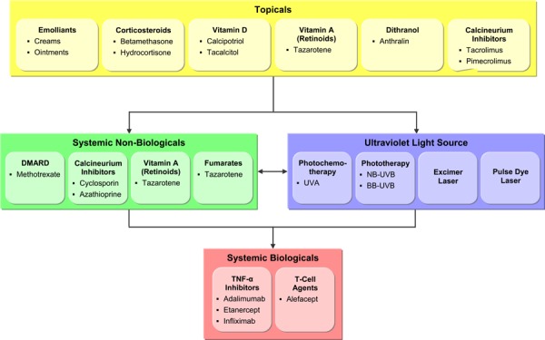 Figure 1: