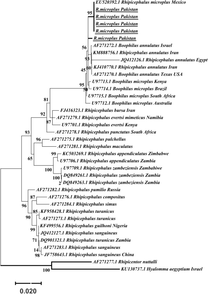 FIGURE 5