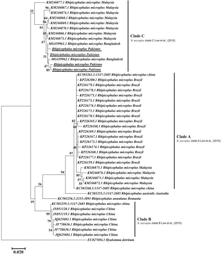 FIGURE 3