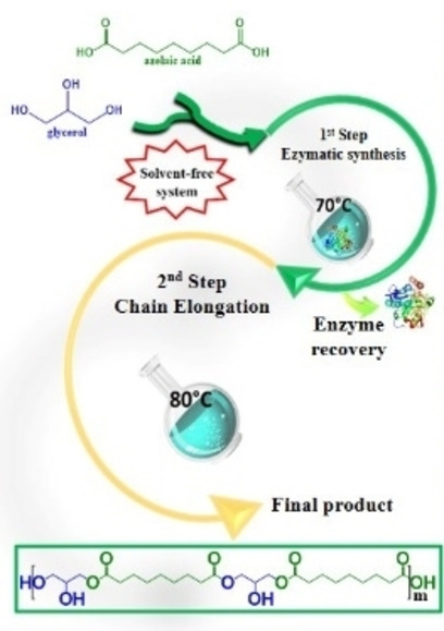 graphic file with name CSSC-15-0-g014.jpg