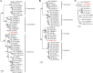 Fig 3