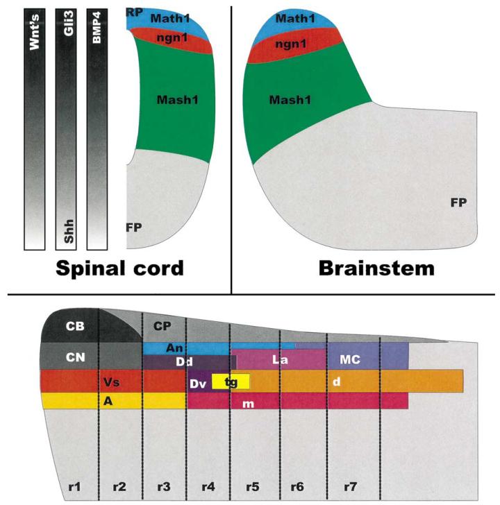 Fig. 4