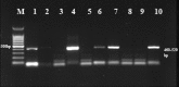 Fig. 4