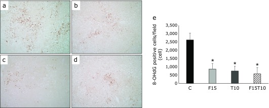 Fig. 4