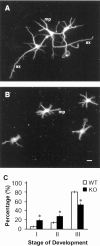 Fig. 8.