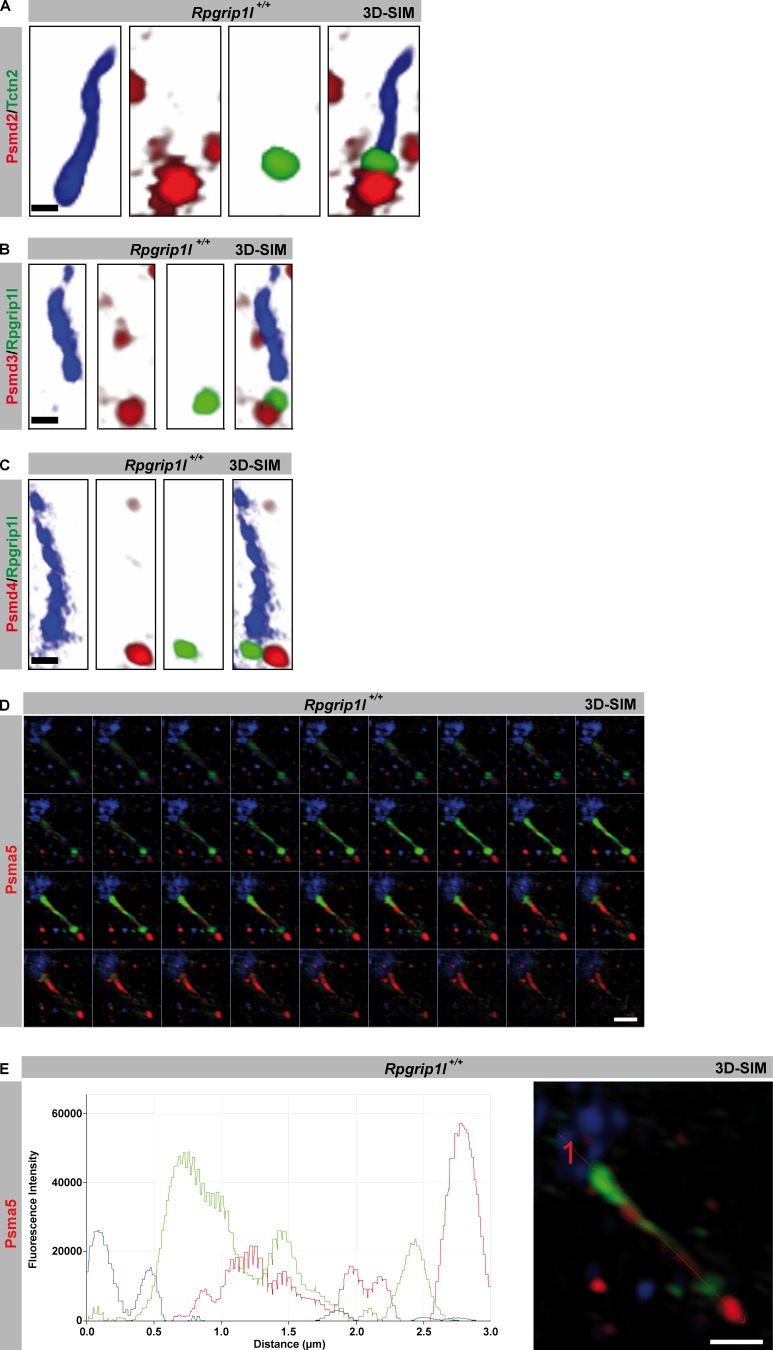 Figure 5.