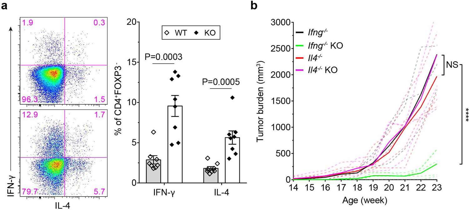 Fig. 4 |