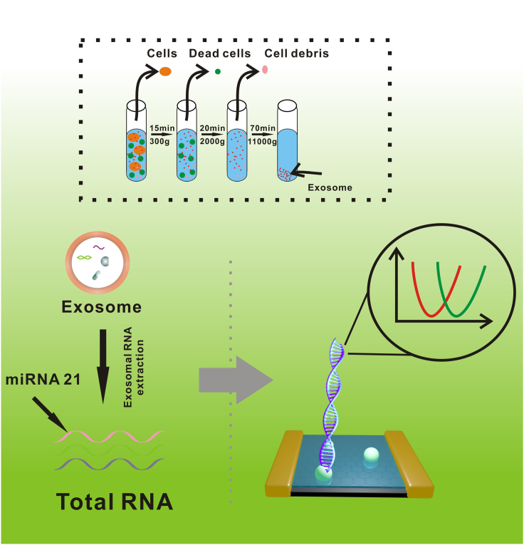Figure 7