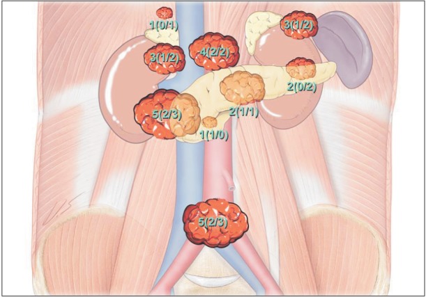 Fig. 4