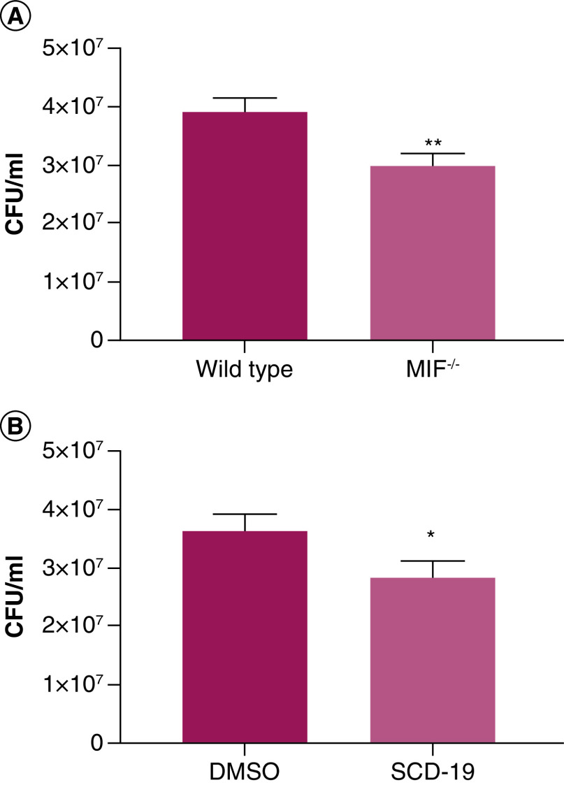 Figure 6. 