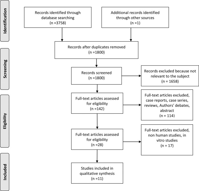 Figure 1. Flow chart according to the PRISMA Statement.