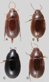 Figure 7.