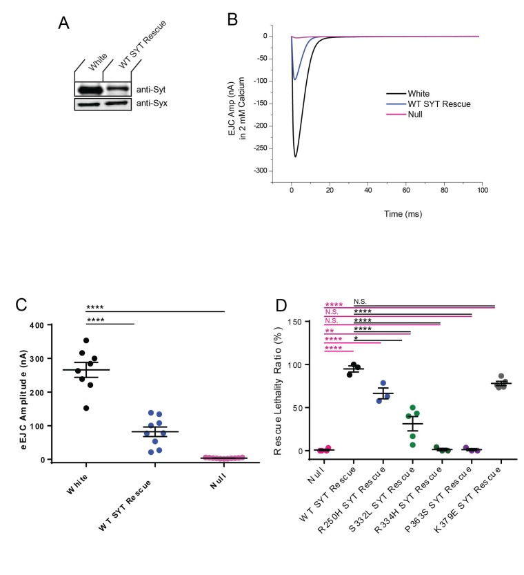 Figure 3—figure supplement 2.