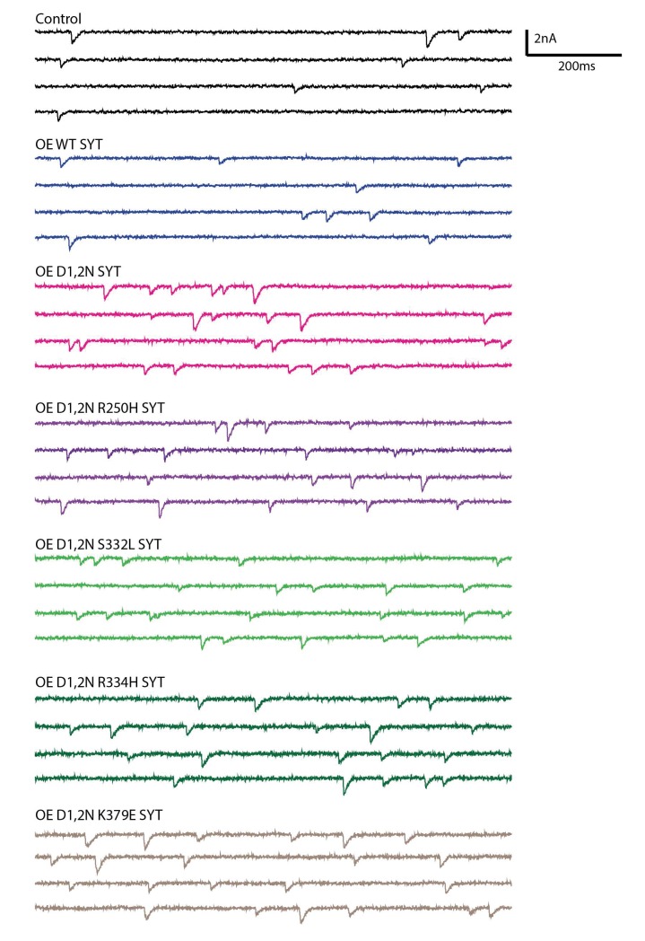 Figure 2—figure supplement 1.