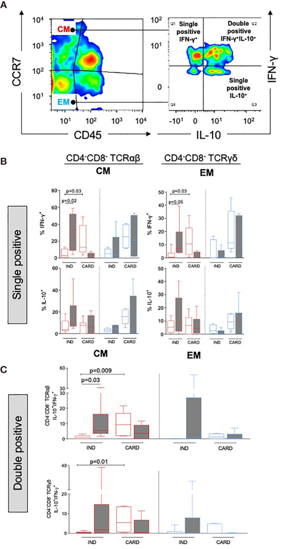 Figure 2