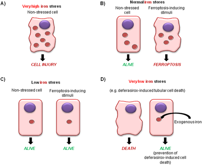 Figure 9