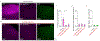 Extended Data Figure 3 |