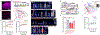 Figure 3 |