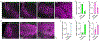Extended Data Figure 1 |
