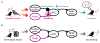 Extended Data Figure 10 |