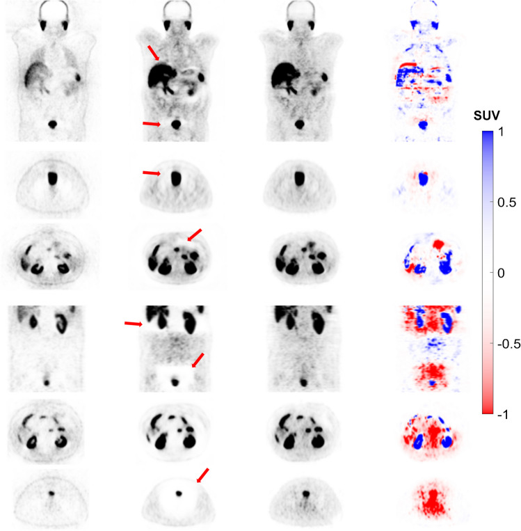 Fig. 7