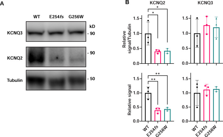 Figure 10.