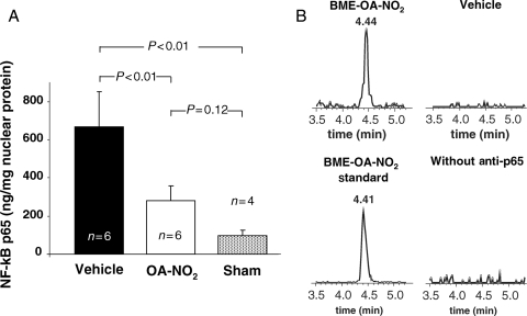 Figure 5