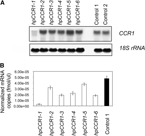 Figure 6.