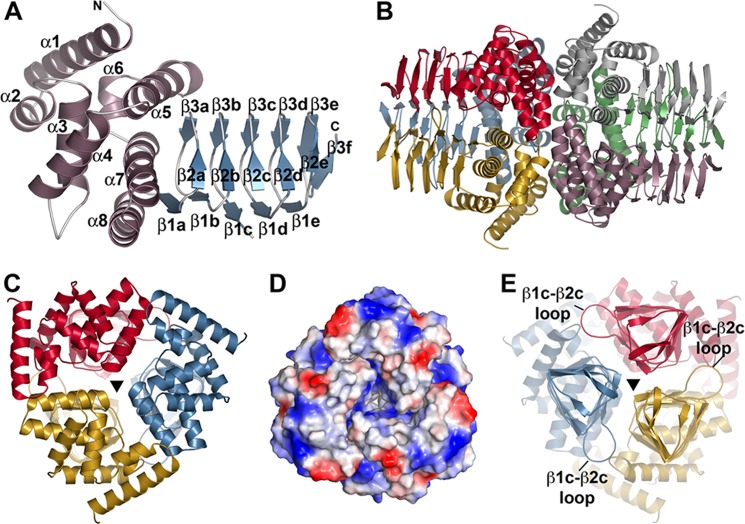 FIGURE 2.