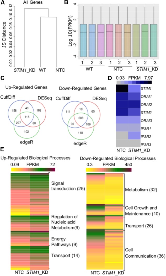 FIGURE 3