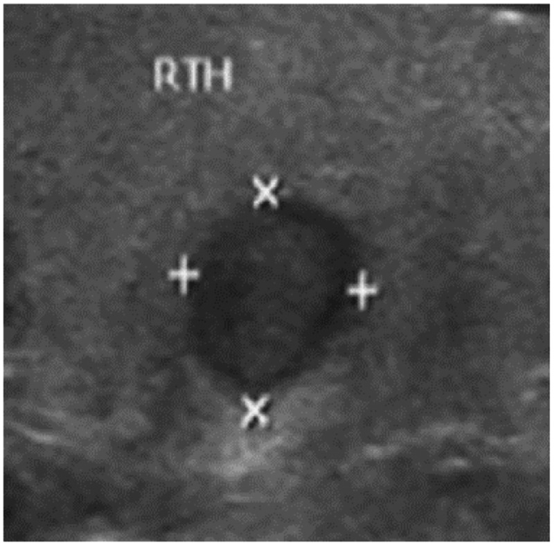 Figure 5.