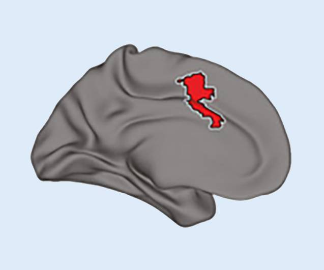 graphic file with name 108_2022_1445_Fig1_HTML.jpg