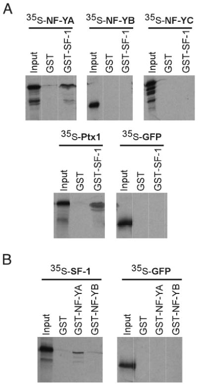 Fig. 8