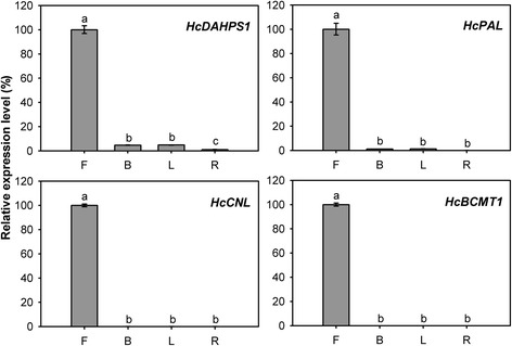 Fig. 10