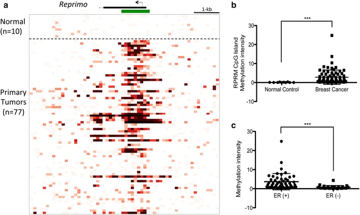 Reprimo as a modulator of cell migration and invasion in the MDA-MB-231 ...