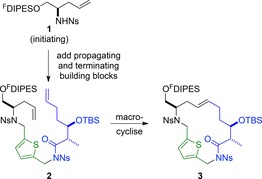 Scheme 1