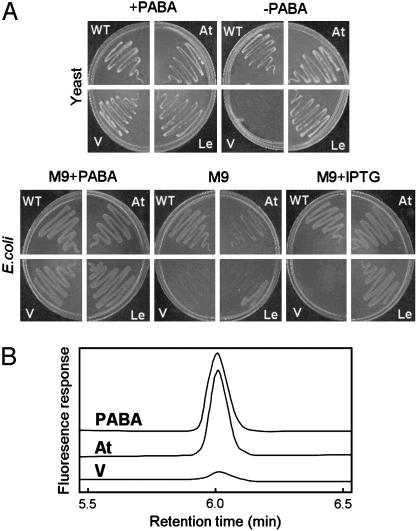 Fig. 3.