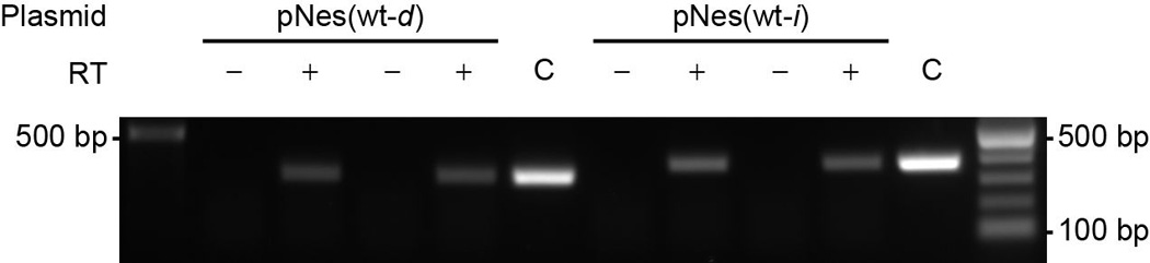 Extended Data Figure 6