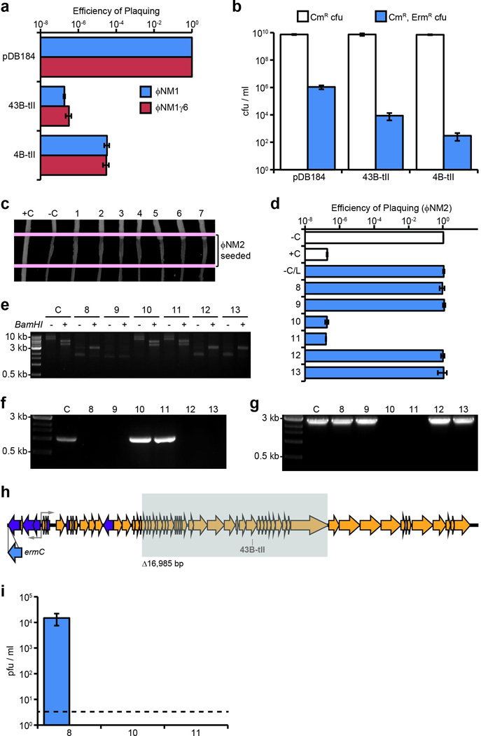 Extended Data Figure 4