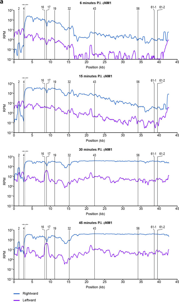 Extended Data Figure 3