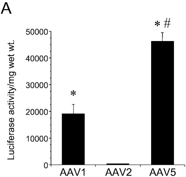 FIG. 6