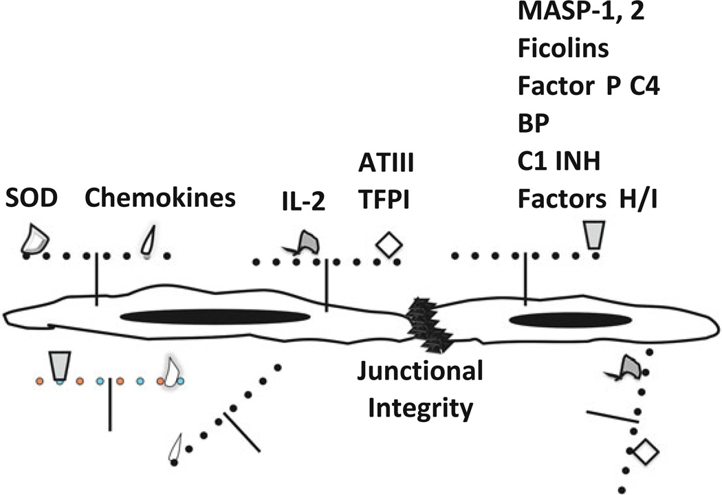 Fig. 8.1