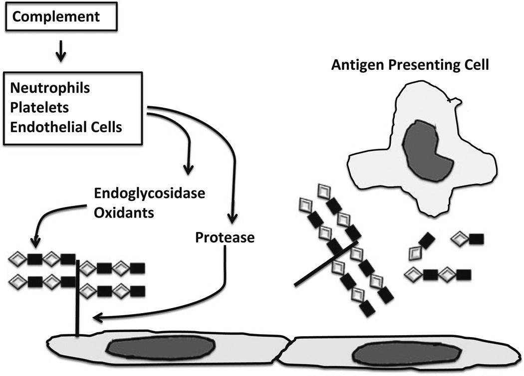 Fig. 8.2