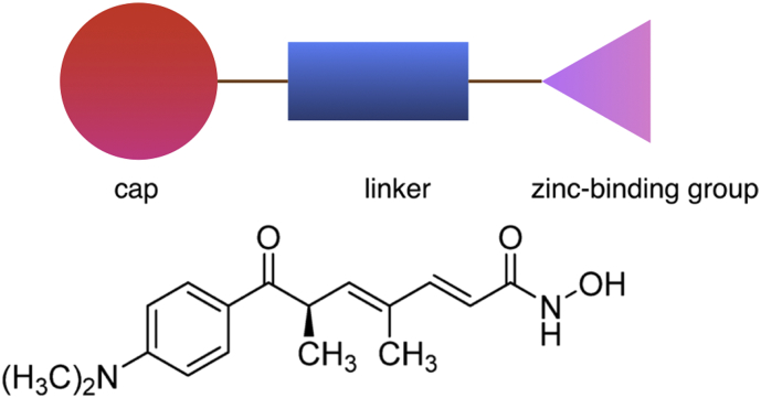 Fig. 2.