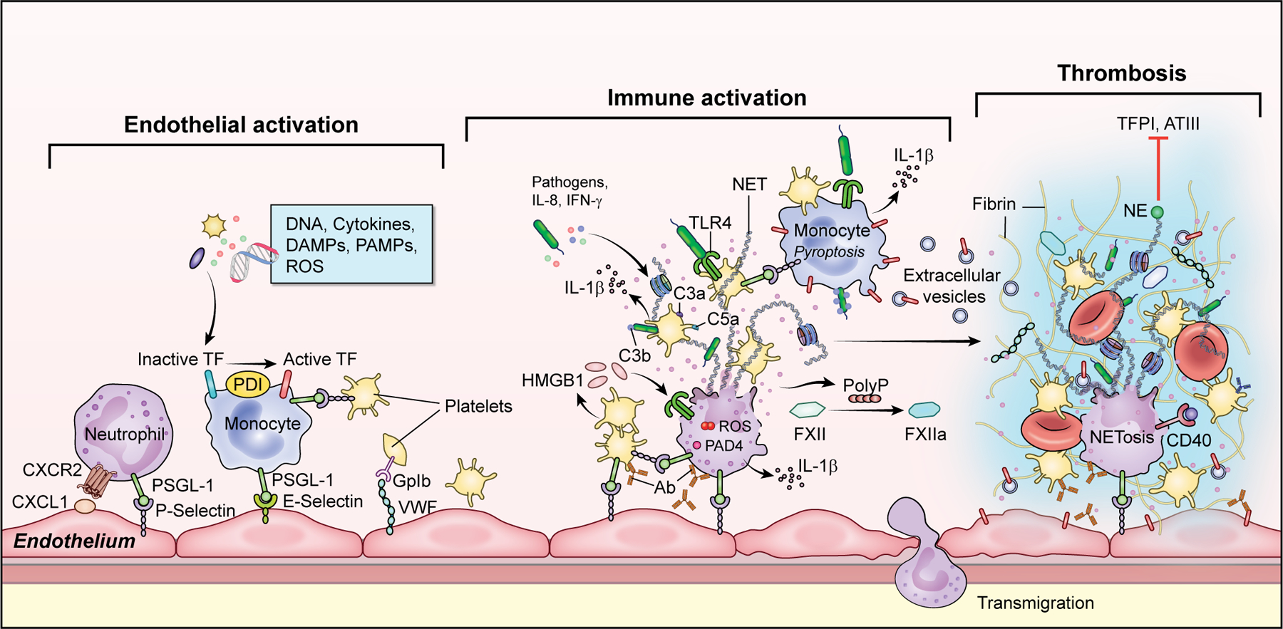 Figure 3: