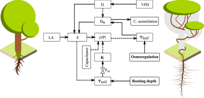 Fig. 6