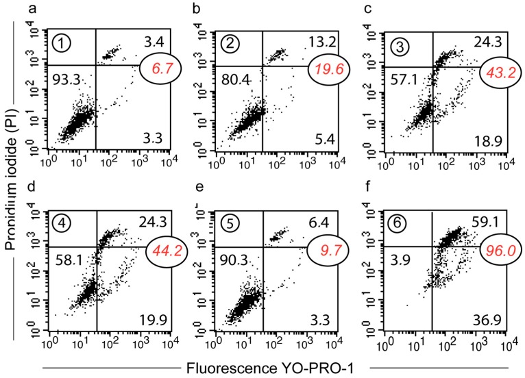 Figure 7