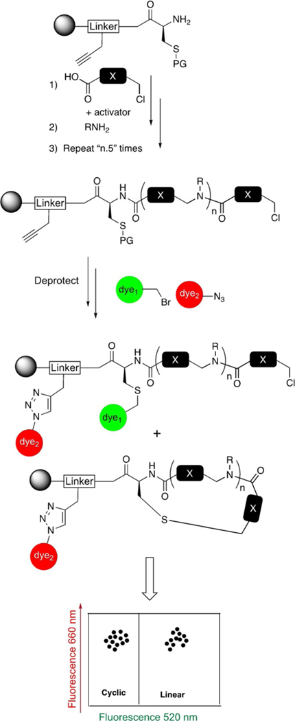 Scheme 1.