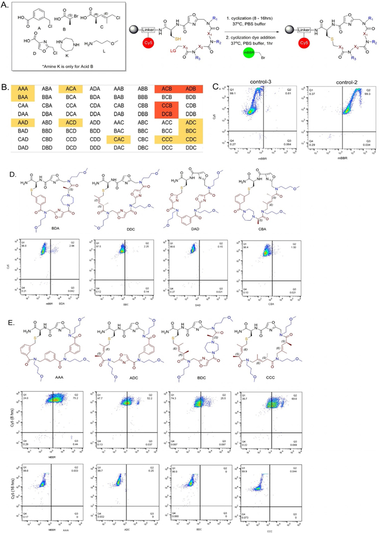 Figure 3.