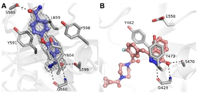 Figure 6